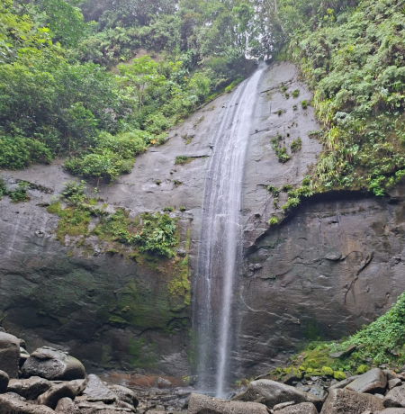 WhatsApp Image 2025-11-11 at 1.32.38 PM (1)